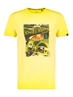 A Fish named Fred polo's Slim Fit 26.03.411