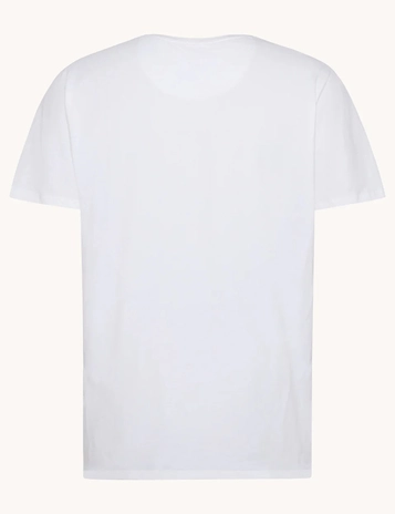 A Fish named Fred t-shirts 31.408
