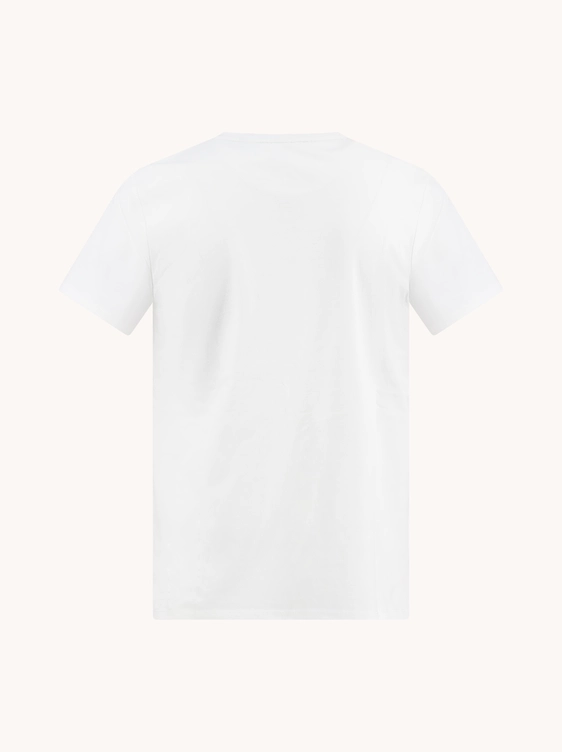 A Fish named Fred t-shirts 33.401