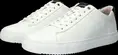 Blackstone sneakers RM50-