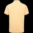 Cast Iron polo's CPSS2203856