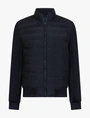 Cavallaro jacks 112261013