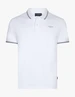 Cavallaro polo's 116261006