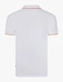 Cavallaro polo's 116262010