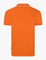Cavallaro polo's 116262010