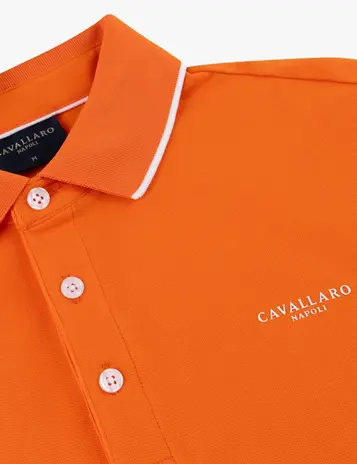 Cavallaro polo's 116262010