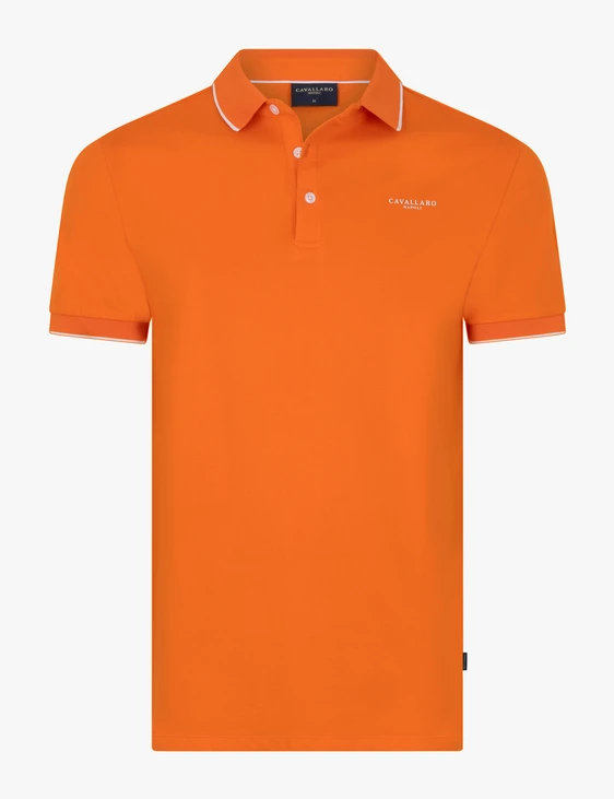 Cavallaro polo's 116262010