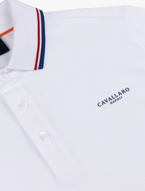 Cavallaro polo's 116262011