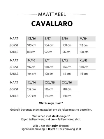 Cavallaro polo's Tailored Fit 116231004