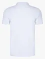 Cavallaro polo's Tailored Fit 116231008