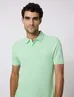 Cavallaro polo's Tailored Fit 116231013