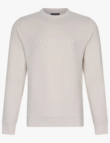 Cavallaro ronde hals trui 120245000