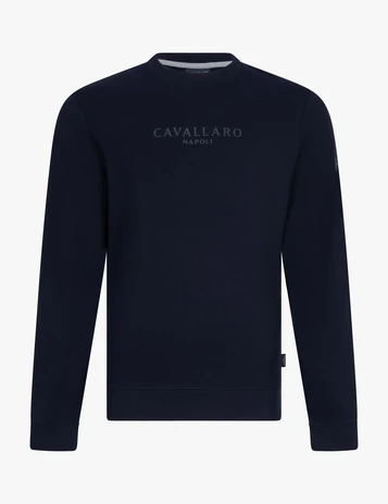 Cavallaro sweater 120255006