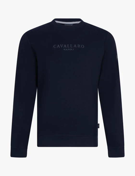 Cavallaro sweater 120255006