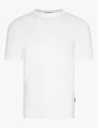 Cavallaro t-shirts 117251007