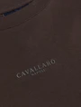 Cavallaro t-shirts 117255006