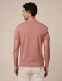 Cavallaro t-shirts 117261010