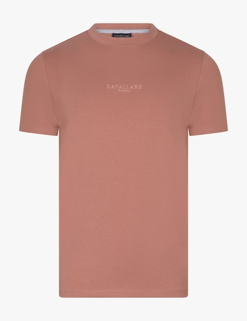 Cavallaro t-shirts 117261010