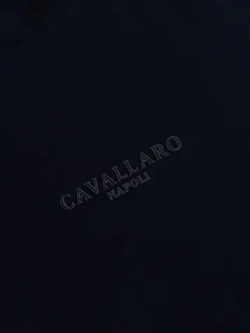 Cavallaro t-shirts 117261010