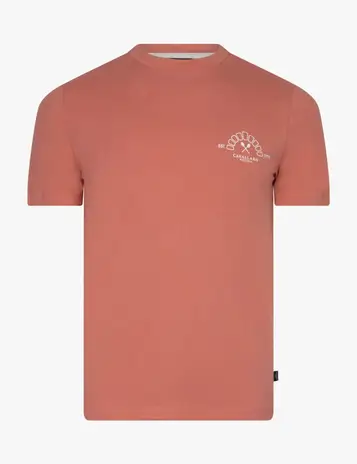 Cavallaro t-shirts 117261035