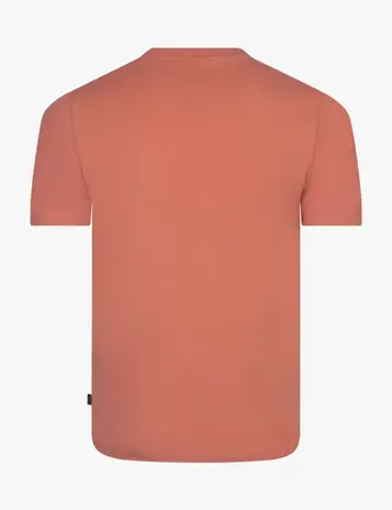 Cavallaro t-shirts 117261035