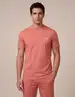 Cavallaro t-shirts 117261035