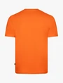 Cavallaro t-shirts 117262011