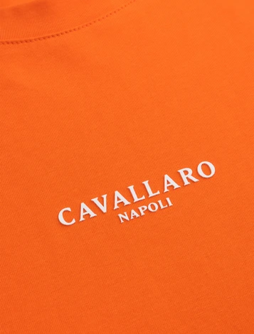 Cavallaro t-shirts 117262011