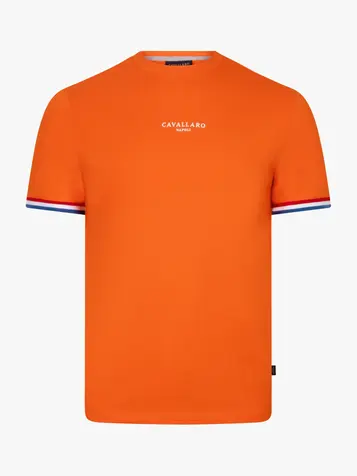 Cavallaro t-shirts 117262042