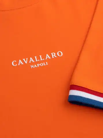 Cavallaro t-shirts 117262042