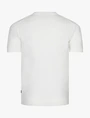 Cavallaro t-shirts 117900010