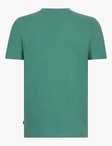 Cavallaro t-shirts Slim Fit 117251016