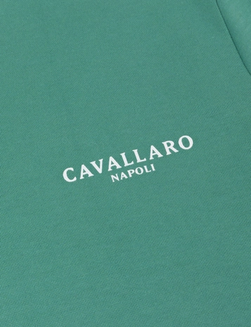 Cavallaro t-shirts Slim Fit 117251016