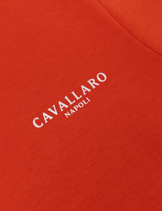 Cavallaro t-shirts Slim Fit 117251016