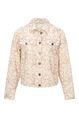 Dreamstar blazer Z26 215 Raoul