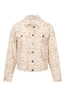 Dreamstar blazer Z26 215 Raoul