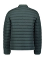No Excess jacks 29630802SN