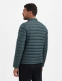 No Excess jacks 29630802SN