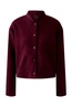 Oui biker 0095821