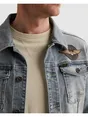 PME Legend colbert PDJ2602704