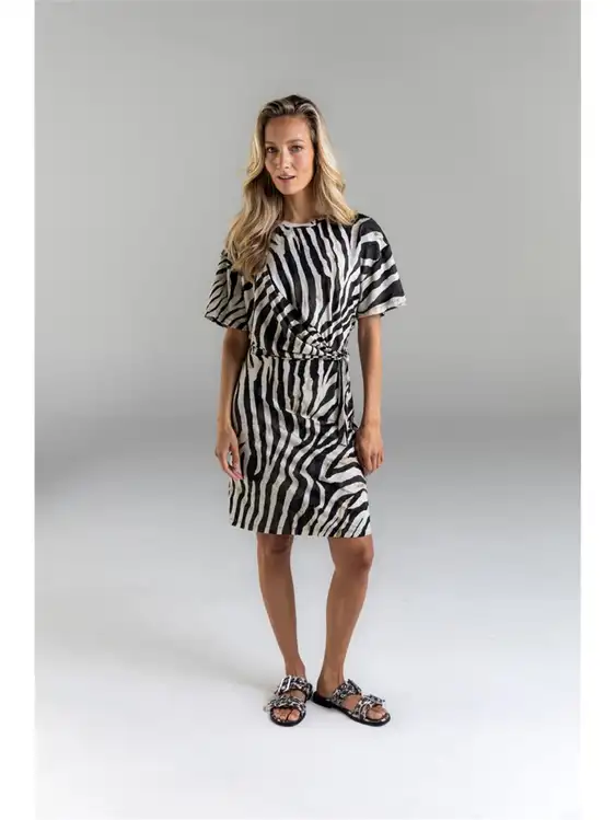 Poools jurk 623119