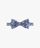 Profuomo vlinderstrik PPWV10046A