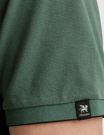 Vanguard polo's VPSS2503822