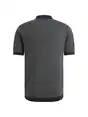 Vanguard polo's VPSS2604864
