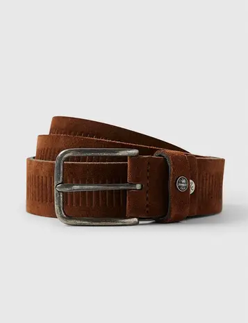 Vanguard riem VBE22080301