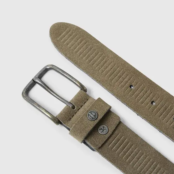 Vanguard riem VBE22080301