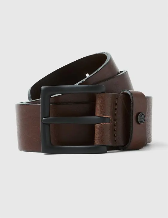 Vanguard riem VBE2208302