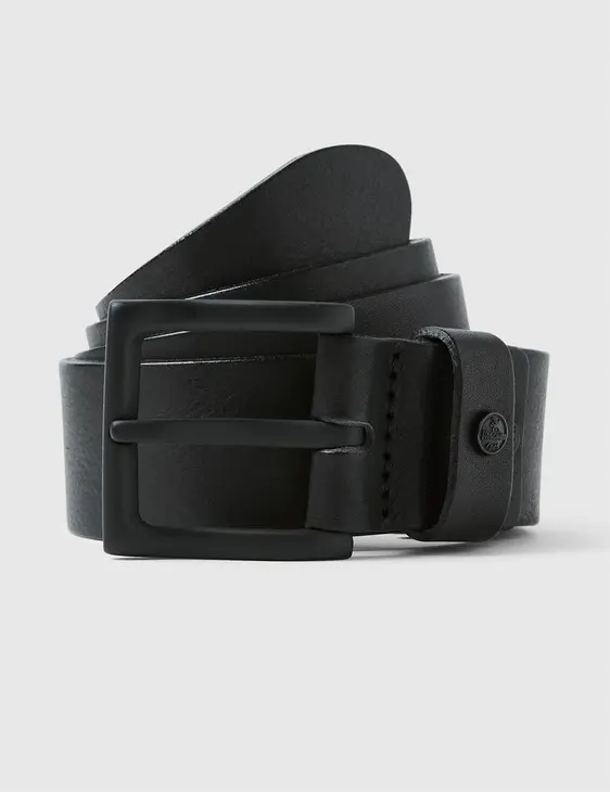 Vanguard riem VBE2208302