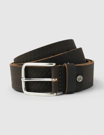 Vanguard riem VBE2508920