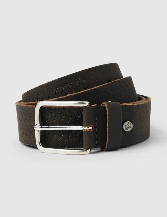 Vanguard riem VBE2508920